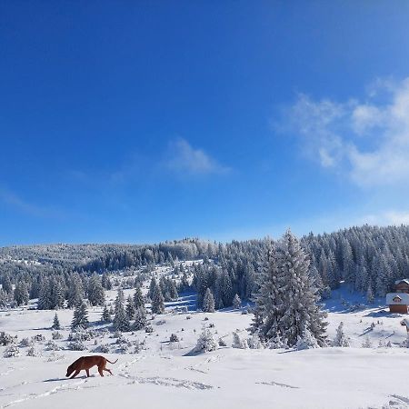 Gold Hill Villa Sekulic Dış mekan fotoğraf