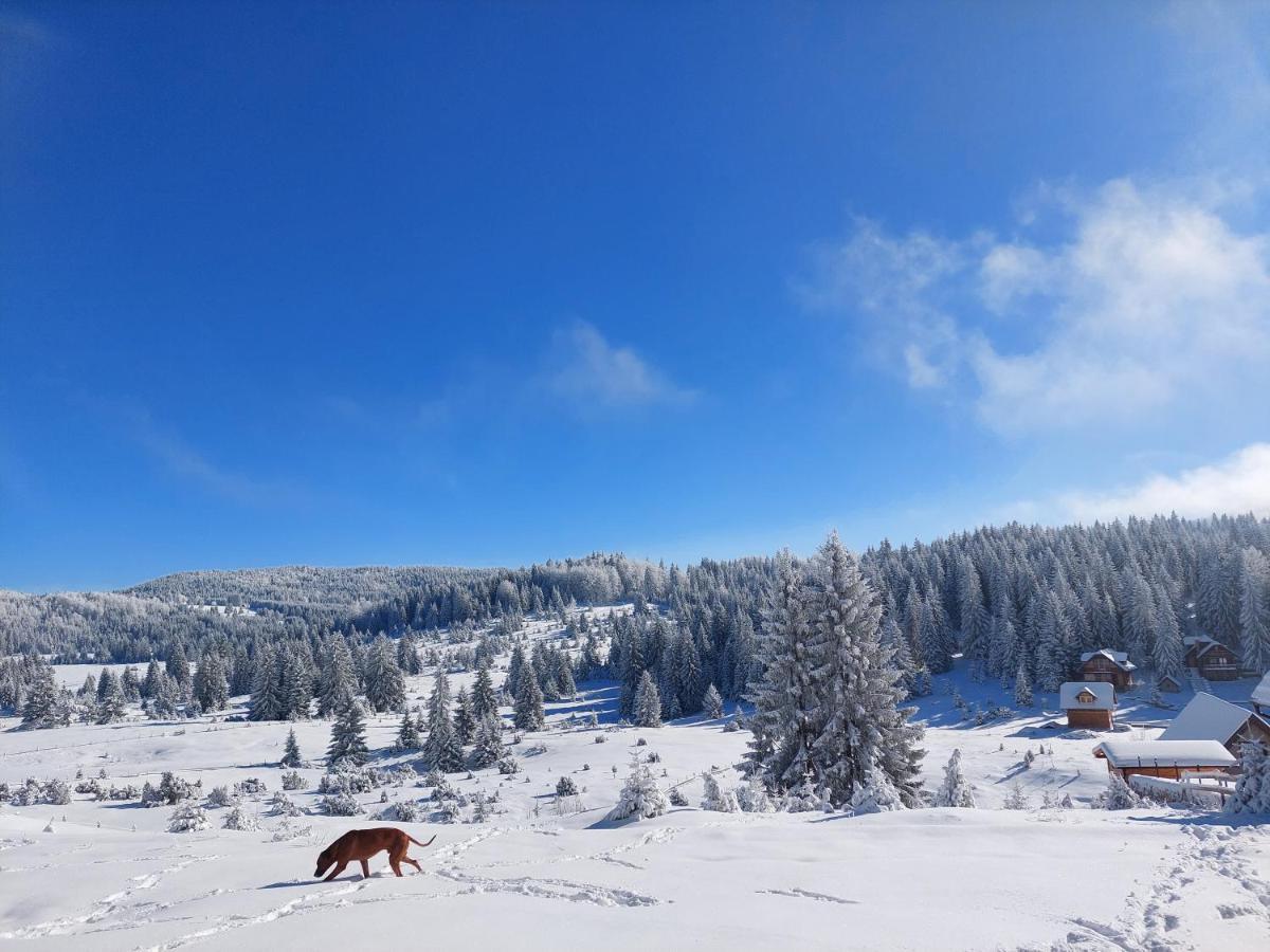 Gold Hill Villa Sekulic Dış mekan fotoğraf
